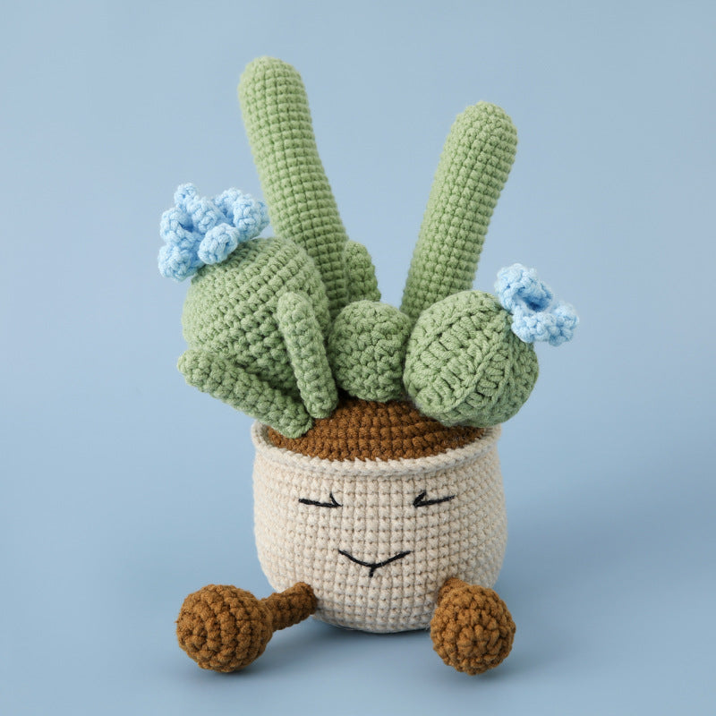 Crochet Cactus Plant Pot (Large)