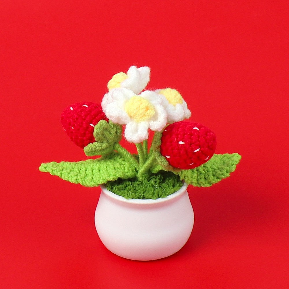 Handmade strawberry crochet plant pot on display