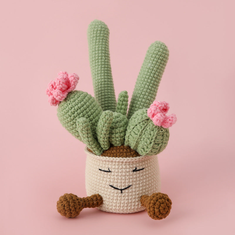 Crochet Cactus Plant Pot (Large)
