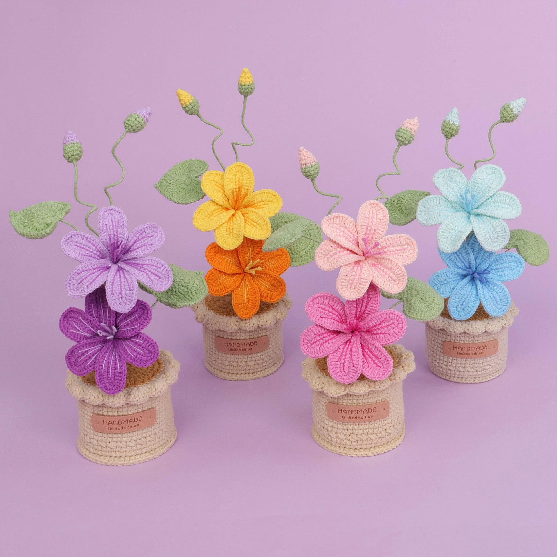 Crochet Blossom Large Flower Pot