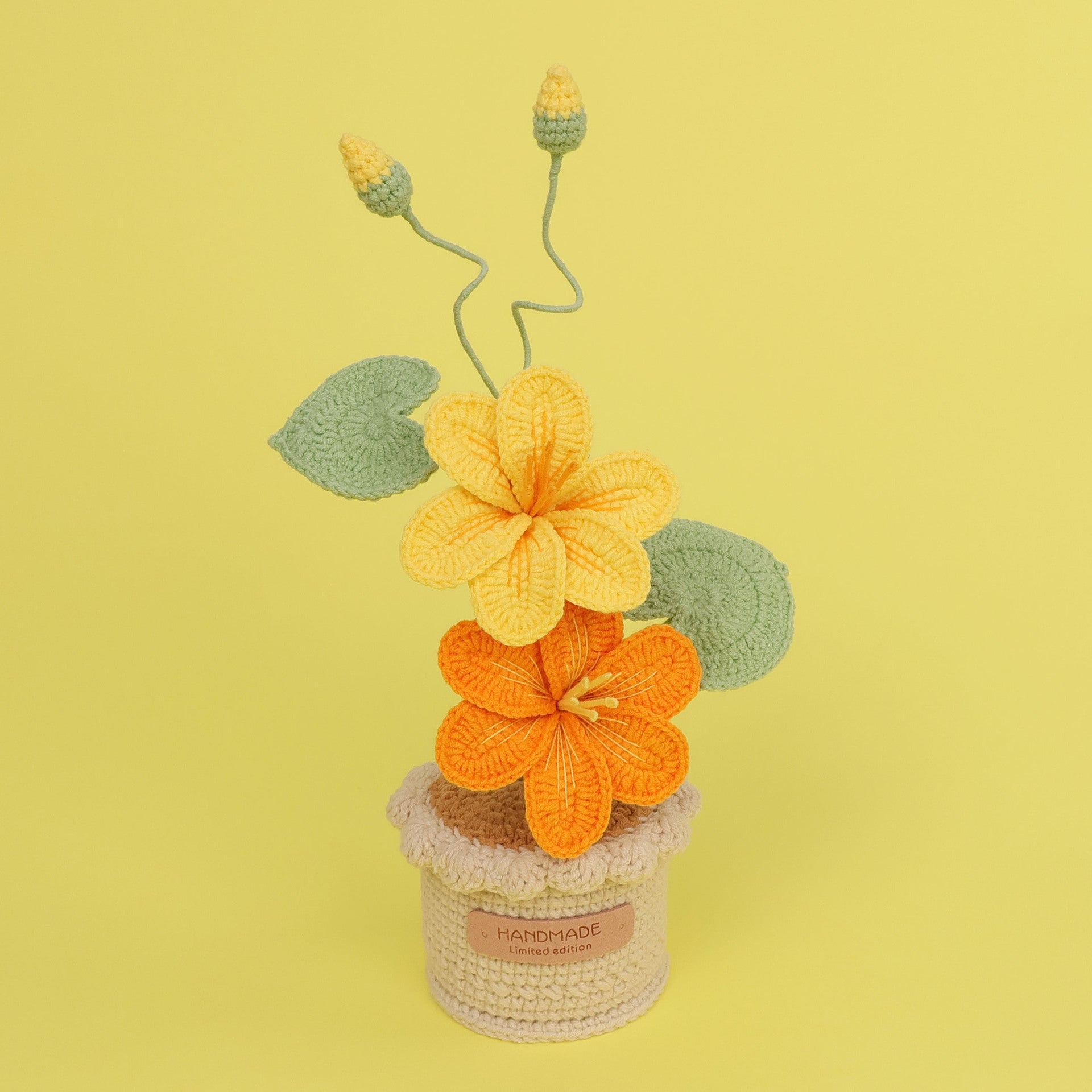 Crochet Blossom Large Flower Pot