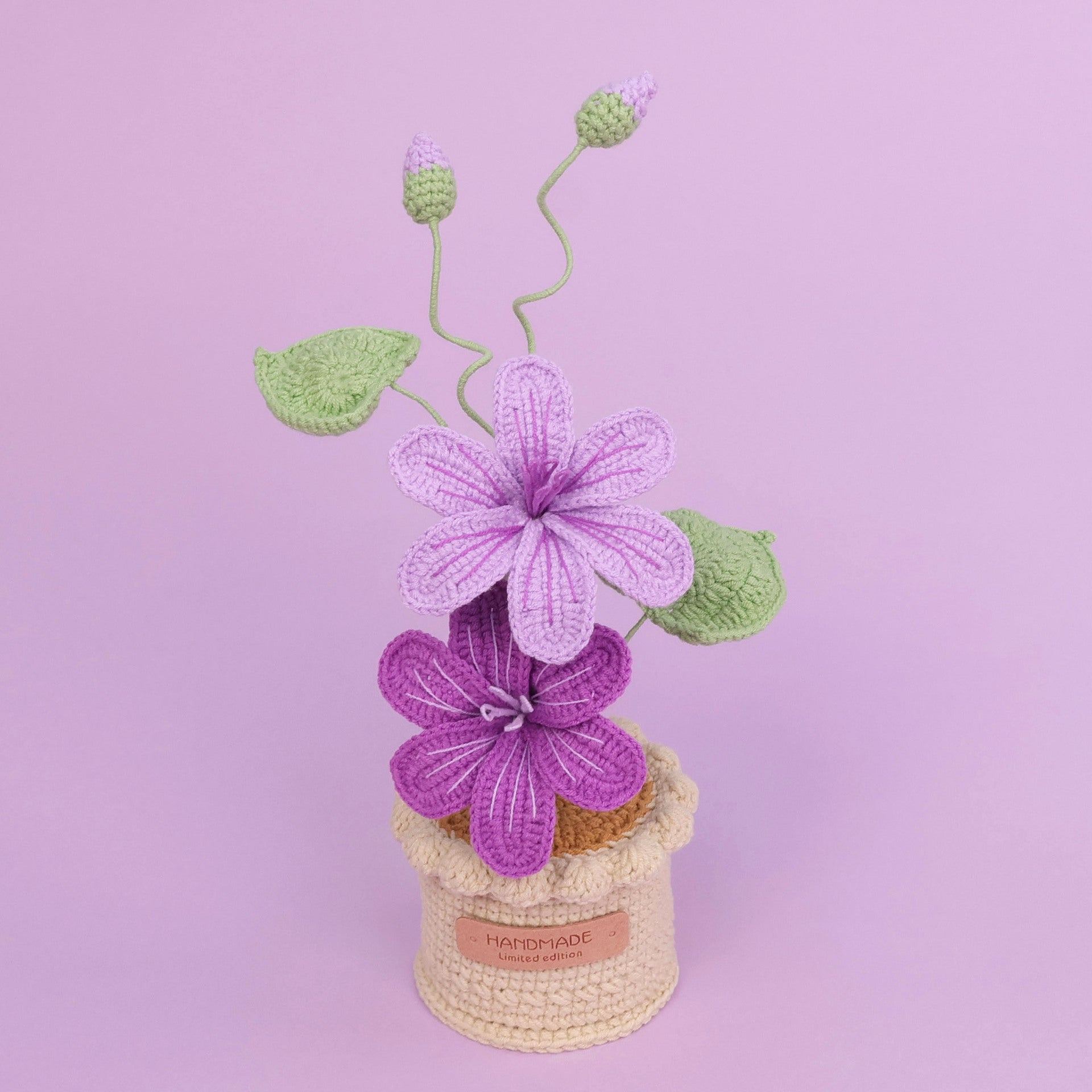 Crochet Blossom Large Flower Pot