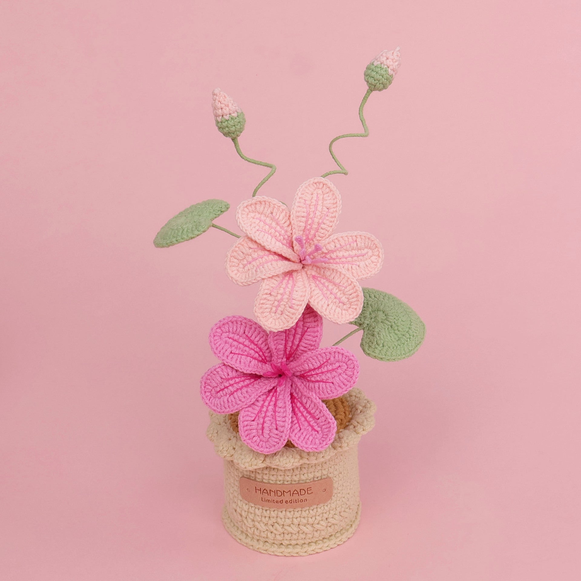 Crochet Blossom Large Flower Pot