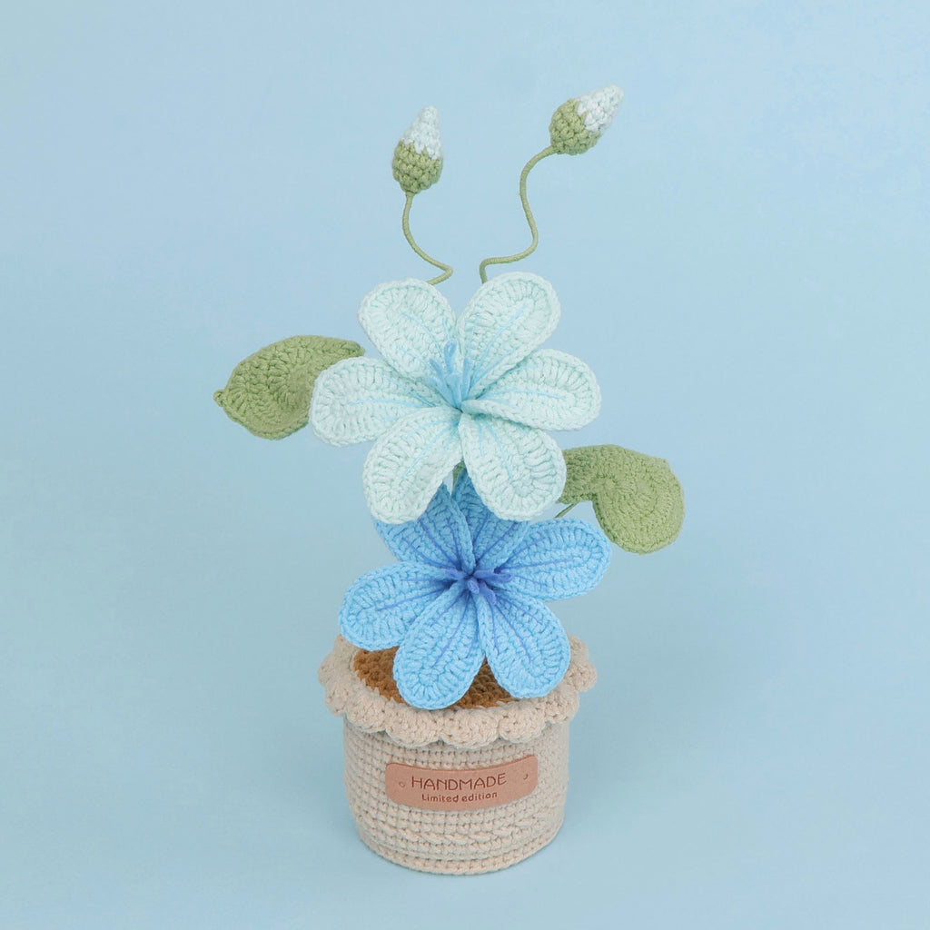 Crochet Blossom Large Flower Pot