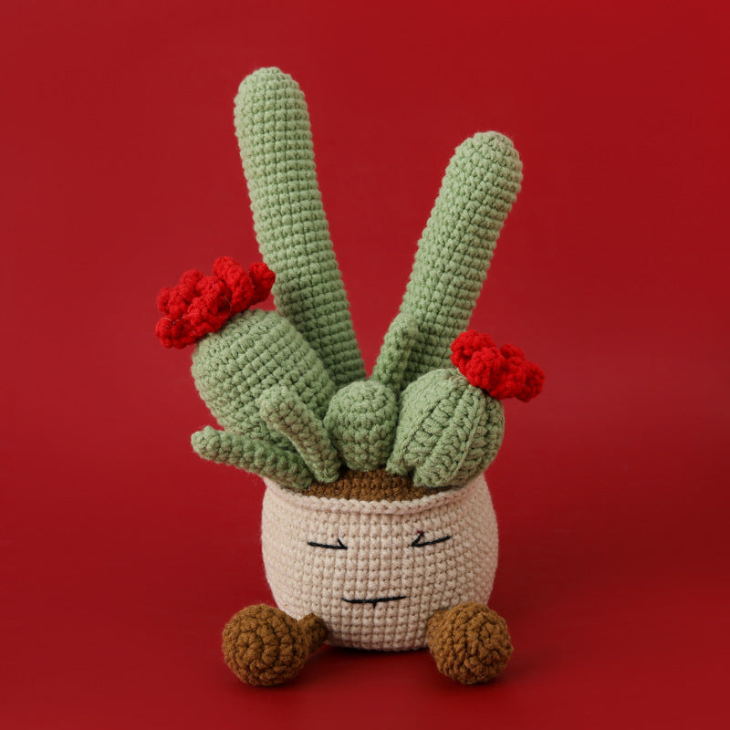 Crochet Cactus Plant Pot (Large)