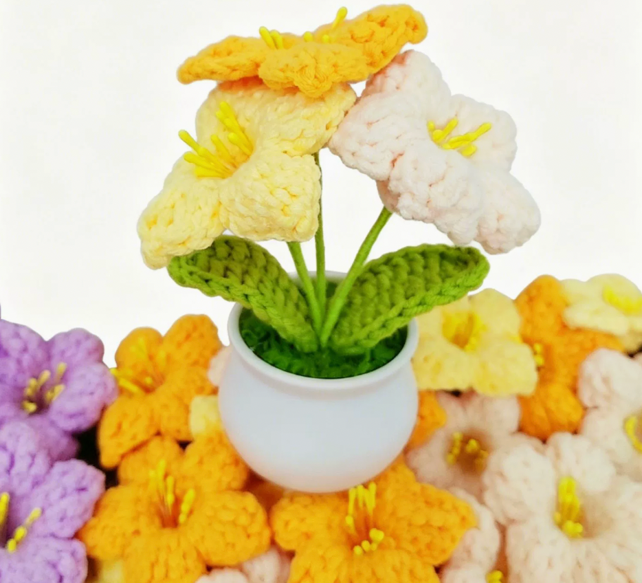 Handmade bell plant crochet pot on display