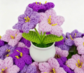 Handmade crochet Denmark bell flower plant in a small decorative pot