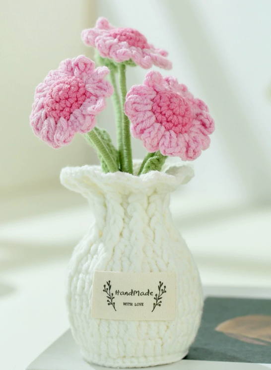 Crochet Daisy Flower Plant Pot (Medium)