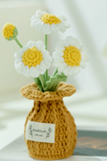 Crochet Daisy Flower Plant Pot (Medium)