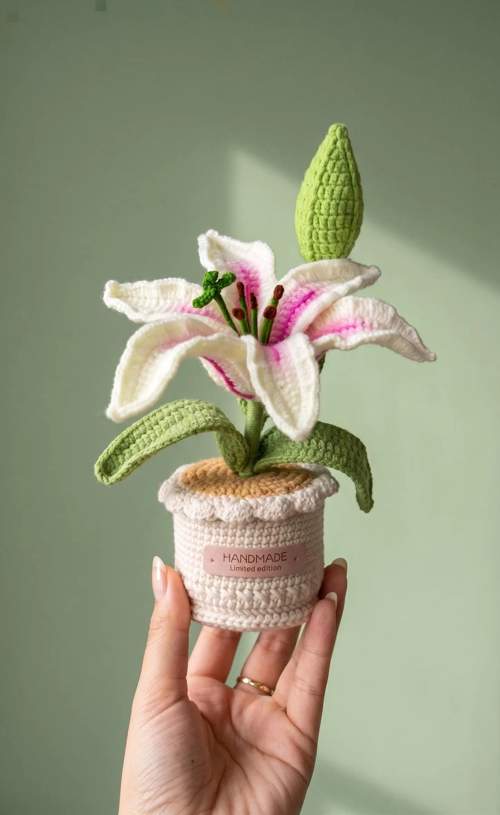 Crochet Lily Plant Pot (Large)
