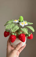 Crochet Strawberry Plant Pot (Large)