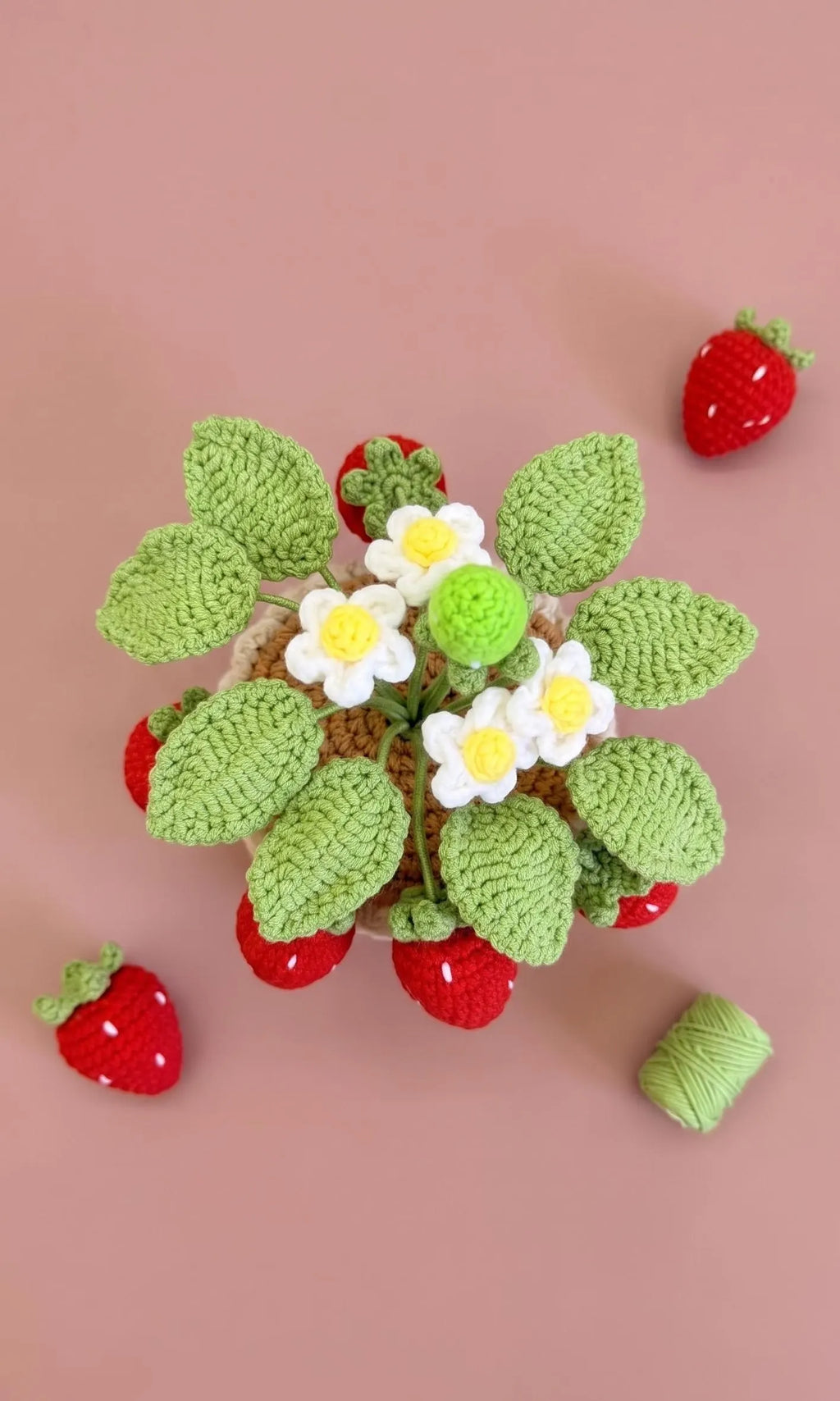 Crochet Strawberry Plant Pot (Large)