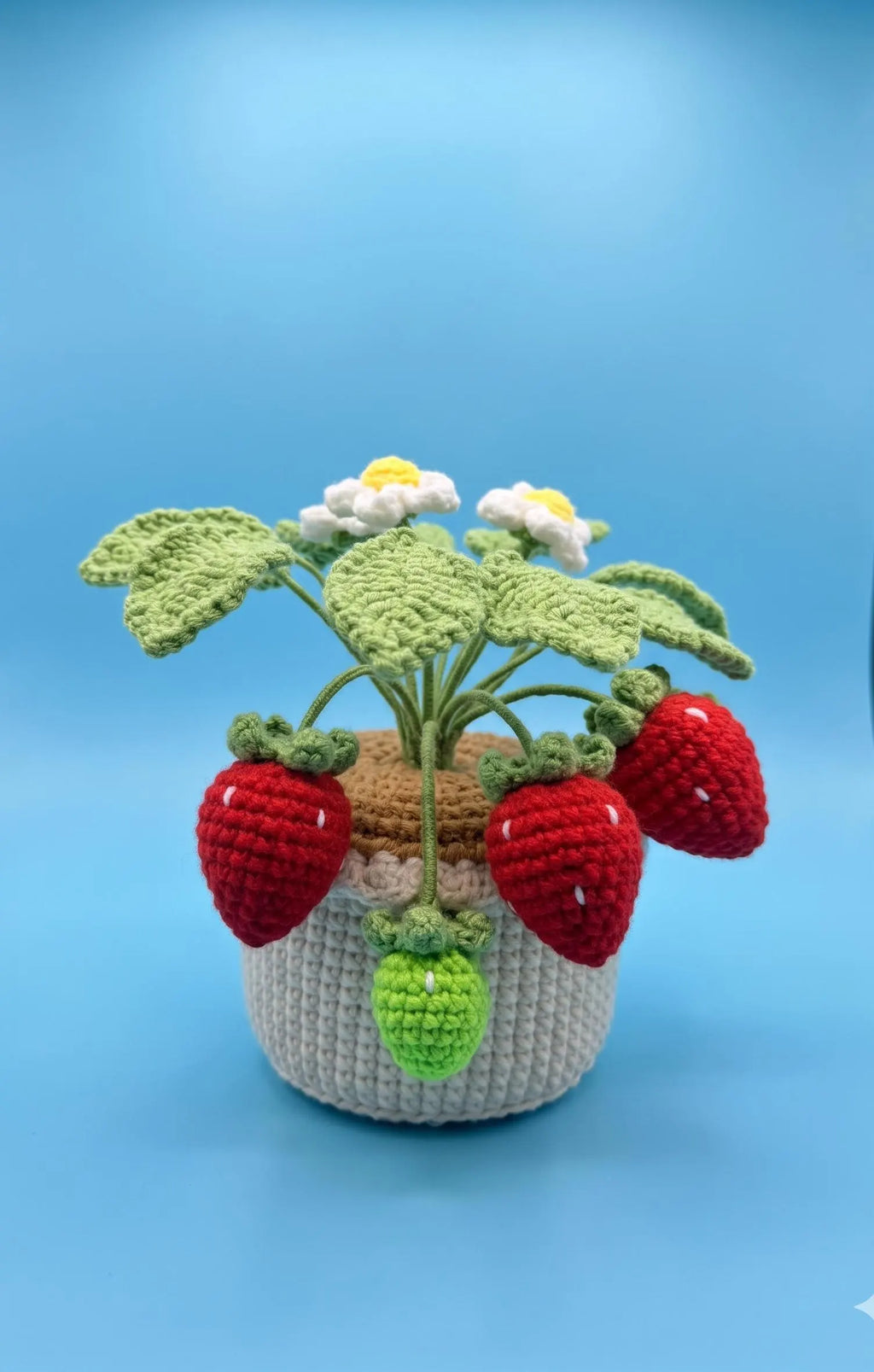 Crochet Strawberry Plant Pot (Large)