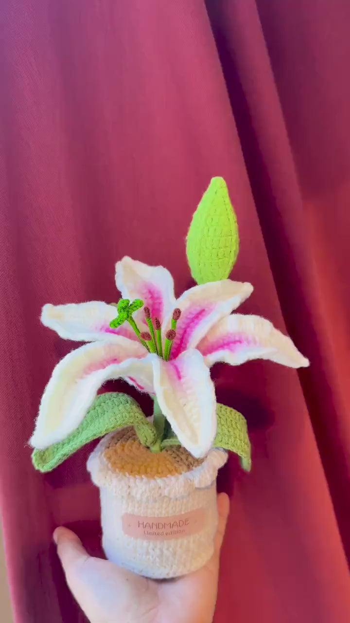 Crochet Lily Plant Pot (Large)