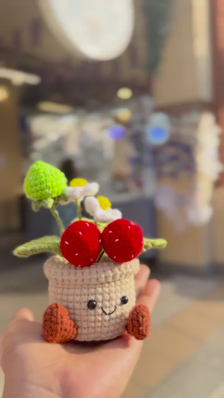 Crochet Strawberry Pot (Medium)