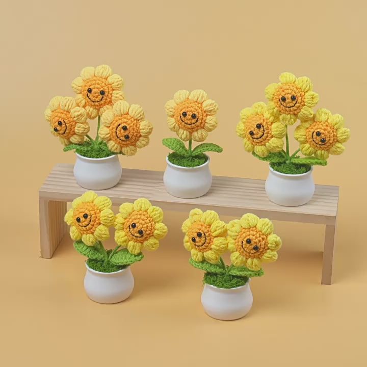 Crochet Smiley Sunflower Plant Pot