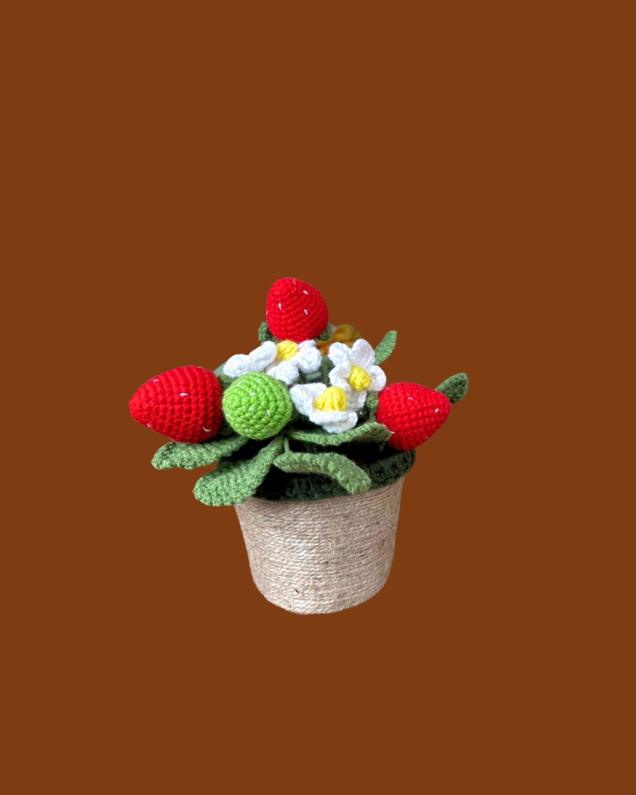 pea shooter pea shooter